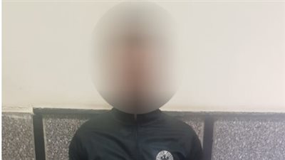  تفاصيل جديدة فى مقتل فتاة دنماركية طعنا بالسكين بالشيخ زايد