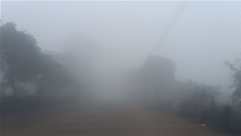 شبورة بالطرق 