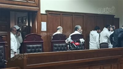 دفاع المدعي بالحق المدني في قضية الآثار الكبرى يطالب بربع مليون جنيه