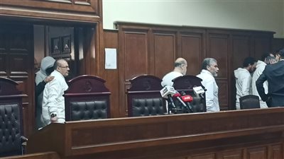 شاهد الإثبات يكشف سر التابوت والأحجار الفرعونية في قضية حسن راتب وعلاء حسانين 