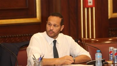 النائب محمد حلاوة: لأول مرة خطوات تشريعية وتنفيذية لدمج الاقتصاد غير الرسمى فى عهد الرئيس السيسي 