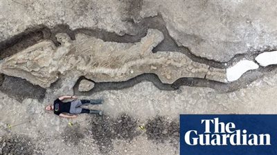 اكتشاف تنين ضخم في بريطانيا انقرض من 90 مليون سنة