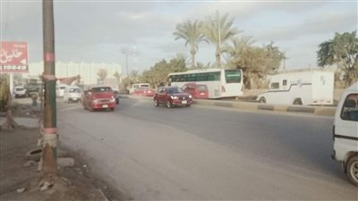 سطوع الشمس واستقرار الأحوال الجوية في الإسكندرية | صور