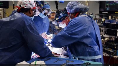 أول عملية من نوعها.. جراحون أمريكيون ينجحون بزراعة قلب خنزير في إنسان | صور