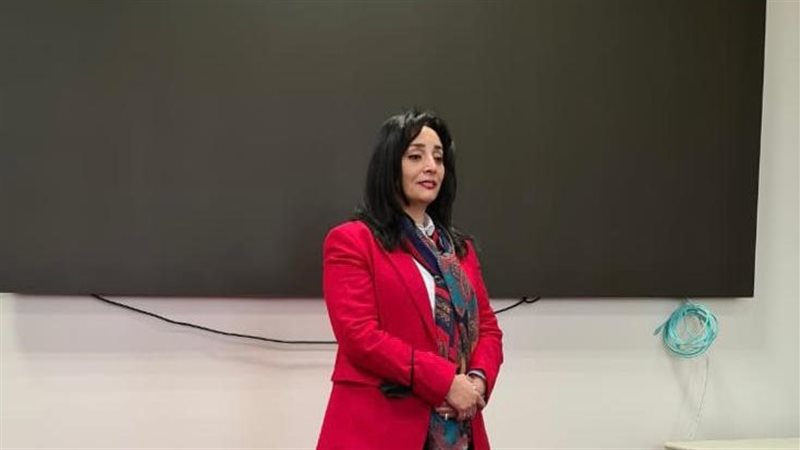 غادة شلبي نائب وزير