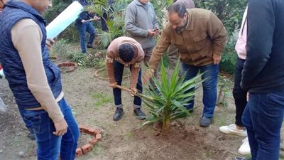 لليوم الثاني.. استمرار مبادرة شجرة تساوي حياة بمدارس الإسكندرية