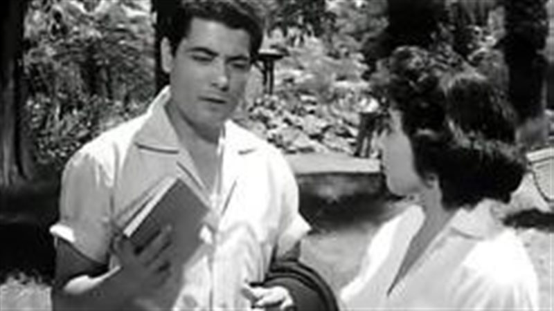لبنى عبد العزيز وشكرى