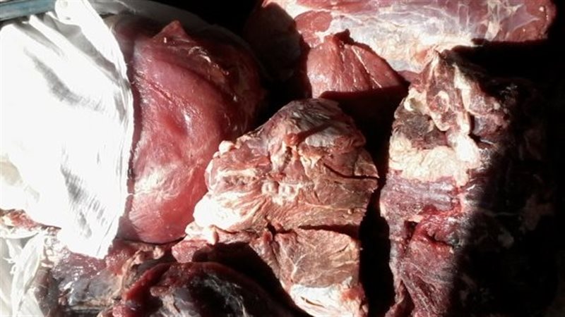 المضبوطات 
