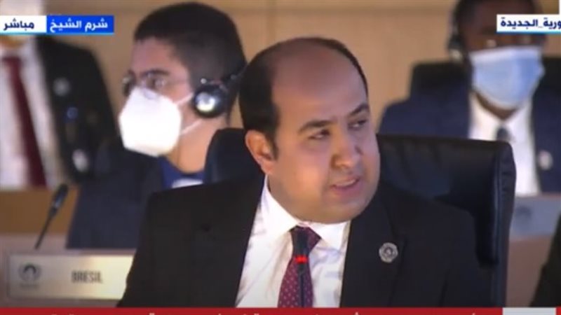 ممثل مصر بجلسة نموذج