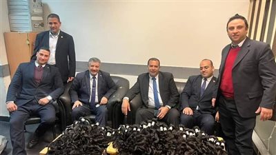 ضبط 19 كيلو شعر طبيعي بحوزة راكب بمطار القاهرة