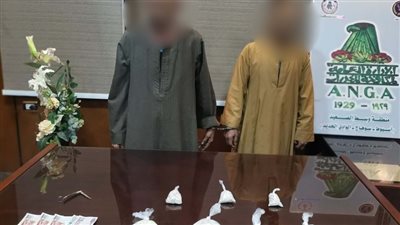 سقوط 3 عناصر إجرامية لإدارة بؤرتين لتجارة الحشيش والهيروين في سوهاج