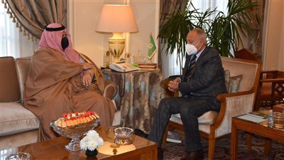 أبو الغيط يلتقى رئيس برنامج الخليج العربى للتنمية