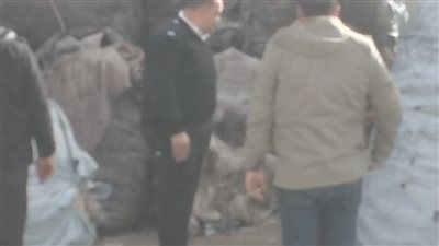 مداهمة وكر للنباشين بأبيس في الإسكندرية