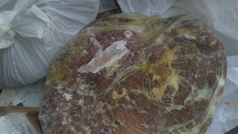 المضبوطات 