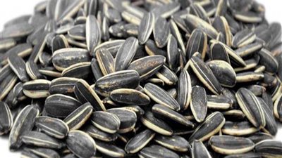 تفسير رؤيا اللب في المنام وعلاقته بجمع المال بلا فائدة 