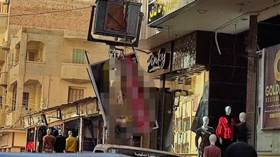 حملة مكبرة لإزالة الإعلانات العشوائية في الدقهلية | صور 