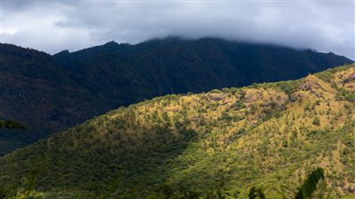 اكتشاف بقايا أحفورية في إثيوبيا عمرها 230 ألف عام