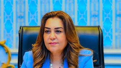 بعد نشره بمنصة الأمم المتحدة، ماذا تكسب مصر من تقرير 