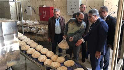 محافظ الدقهلية يتابع مستوى الخدمات المقدمة للمواطنين بالمنصورة