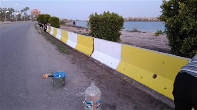 تجميل مداخل رأس البر بدمياط ورفع كفاءة طريق البوابة الجديدة استعدادا لشم النسيم