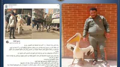 ضبط صاحب محل أسماك بالغربية قيد 