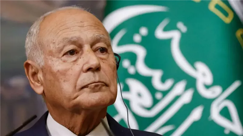 أحمد أبو الغيط، فيتو