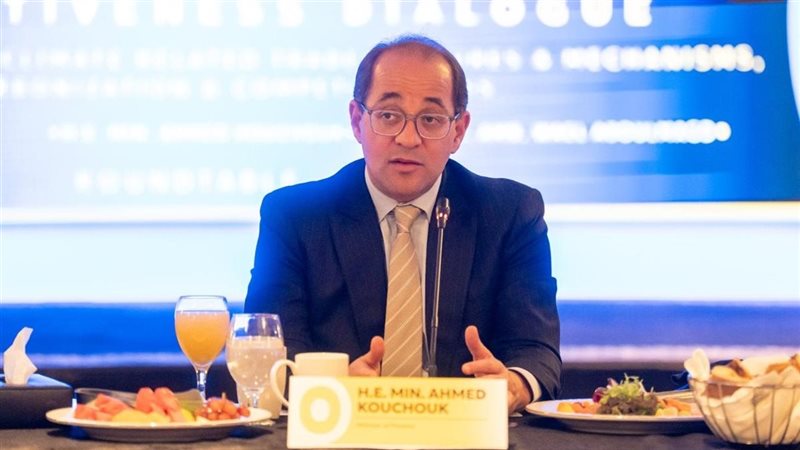 وزير المالية: نتحرك بقوة لرفع كفاءة استخدام الطاقة بالاقتصاد المصري