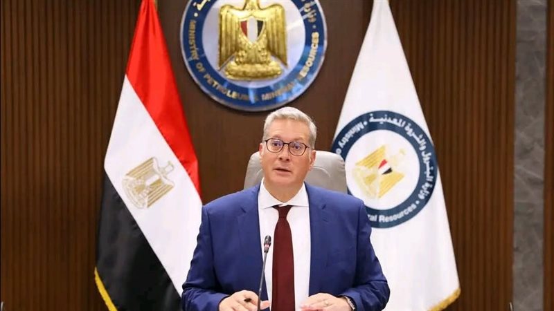 المهندس كريم بدوي