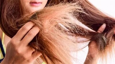 خلطات طبيعية، لحماية أطراف الشعر من التقصف قبل حدوثه