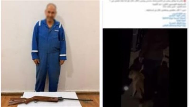 شخص يطارد الكلاب