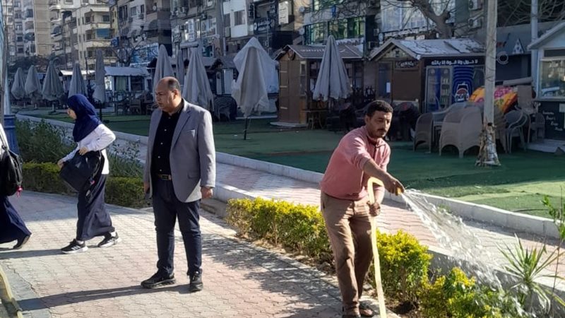 تجهيز الحدائق بالمنصورة،