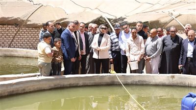 محافظ الوادي الجديد تتفقد مشروعي الاستزراع السمكي والصوب الزراعية بالداخلة
