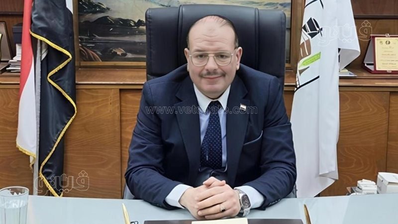 المهندس محمد أمين