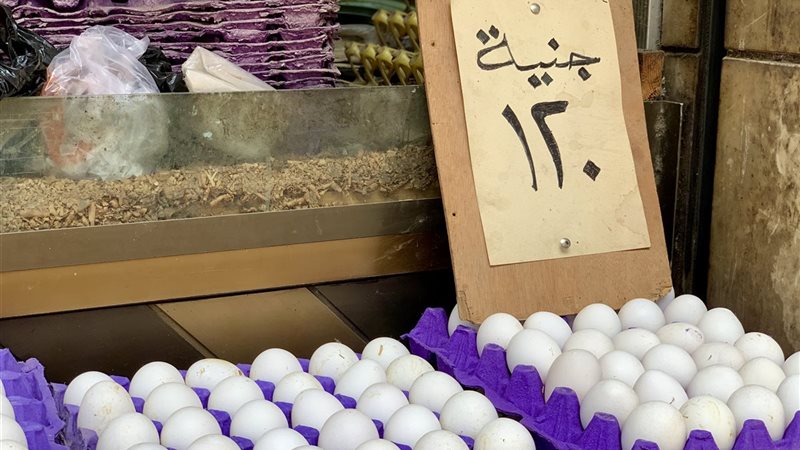اسعار البيض فى شك