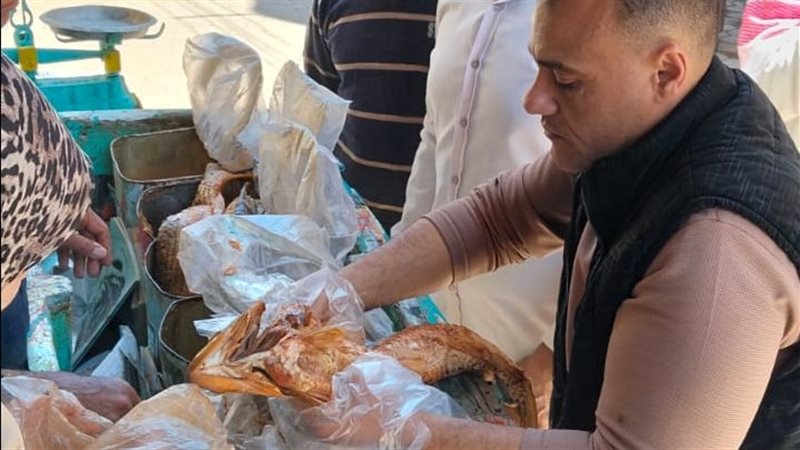 ضبط اسماك مملحة غير
