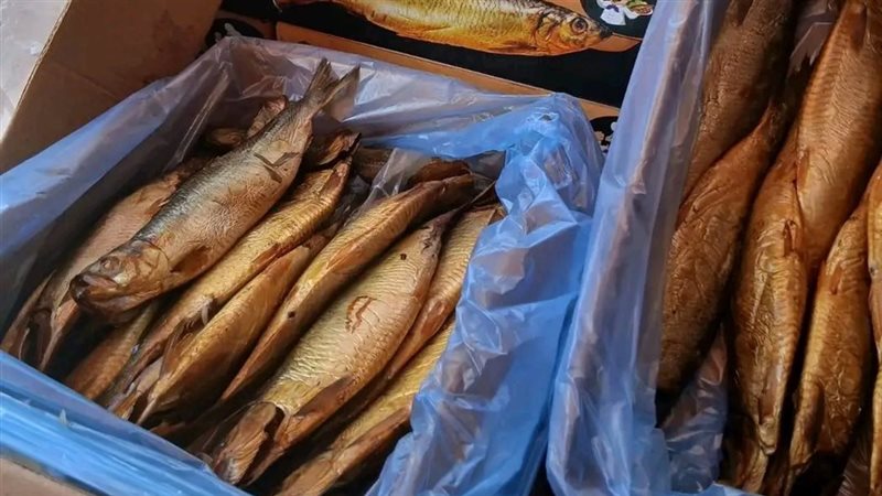 ضبط رنجة فاسدة، فيتو