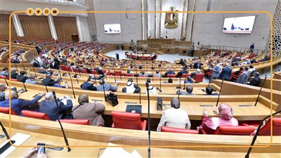 تكليفات رئاسية بسرعة تقديم قوانين الأسرة إلى مجلس النواب (انفوجراف)