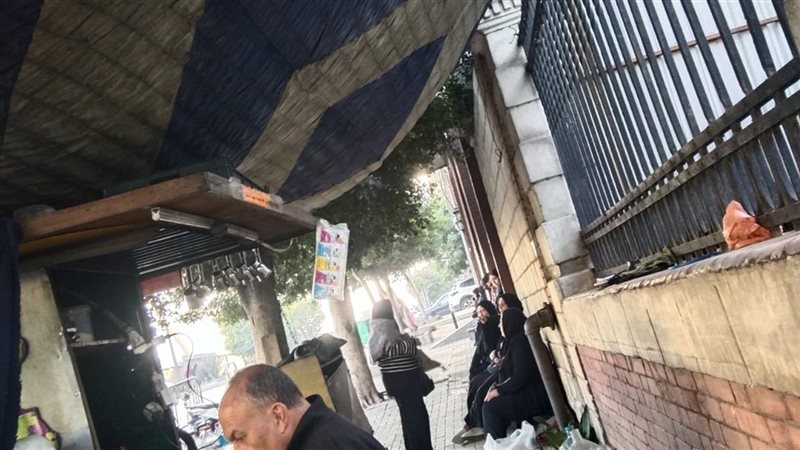 الاسكندريه 
