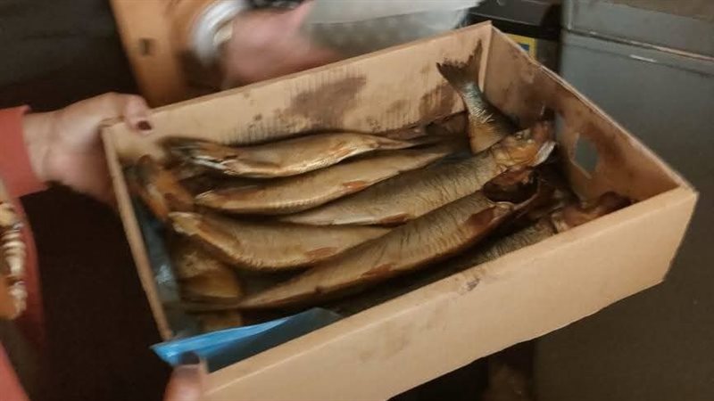 ضبط اسماك مملحة غير