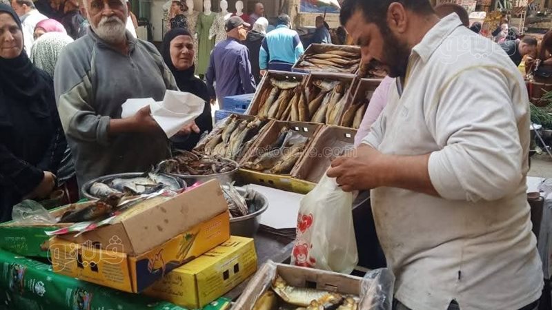 حملات تموينية بالشرقية،فيتو