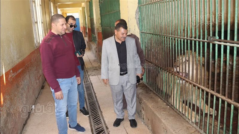 سكرتير بني سويف يتفقد