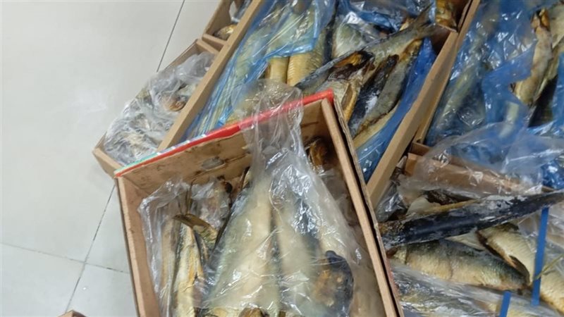مضبوطات، فيتو