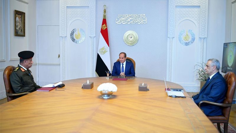 الرئيس السيسي، فيتو