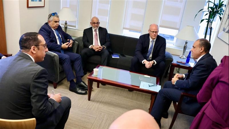 لقاء وزير الخارجية،