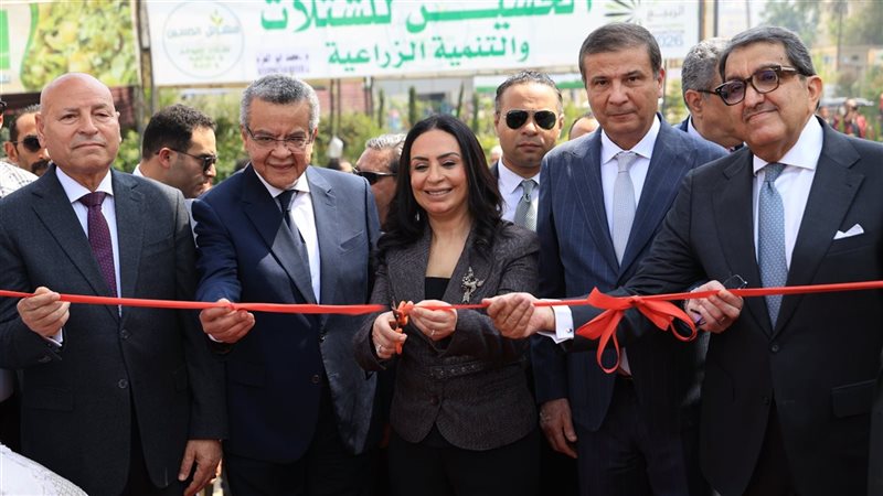 وزارة التضامن الاجتماعي،
