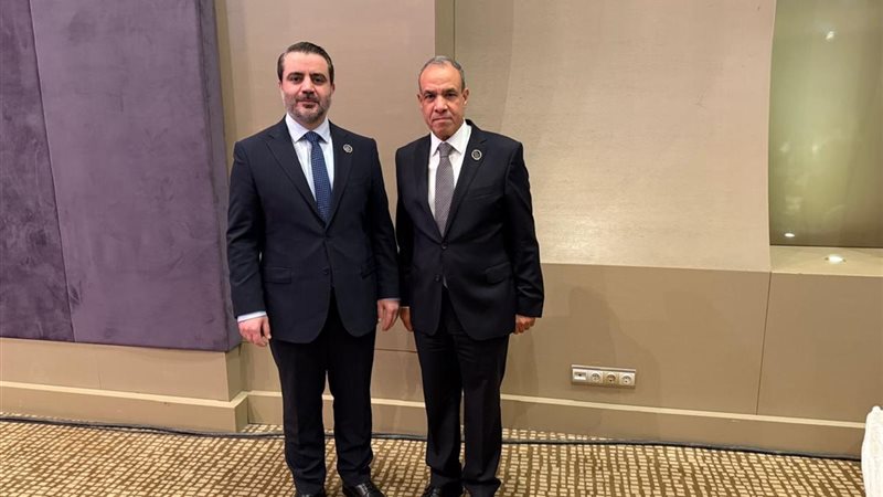 لقاءات وزير الخارجية،