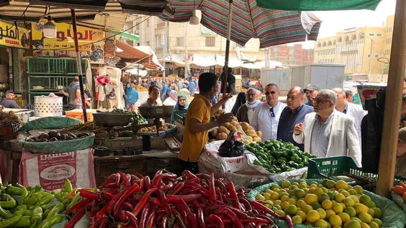 محافظ الدقهلية في