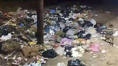 محافظ الشرقية يأمر برفع تراكمات القمامة بانتظام من الشوبك بسطة  