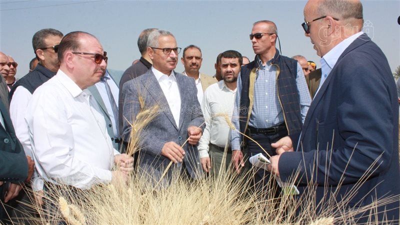 محافظ بني سويف يفتتح