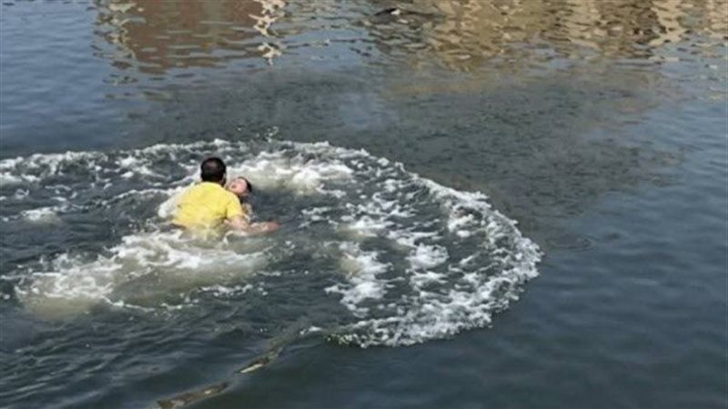 إنقاذ ربة منزل، فيتو